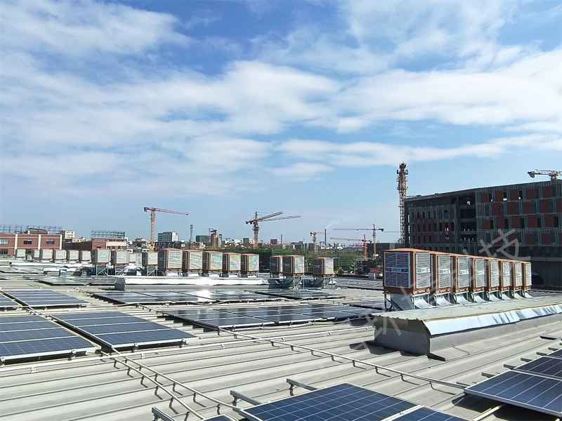 1750045419552397.jpg 1750045419552397